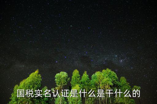 國稅實名制認證要什么手續(xù)，國稅實名認證是什么是干什么的