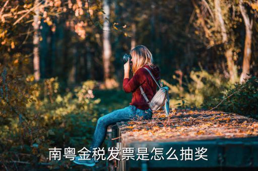 南粵金稅發(fā)票是怎么抽獎(jiǎng)