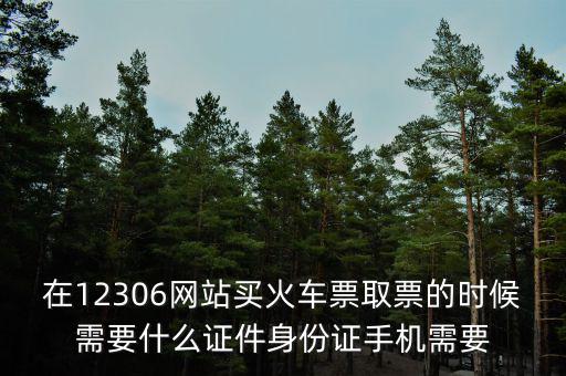 在12306網(wǎng)站買火車票取票的時候需要什么證件身份證手機需要