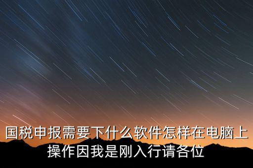 國(guó)稅申報(bào)需要下什么軟件怎樣在電腦上操作因我是剛?cè)胄姓?qǐng)各位