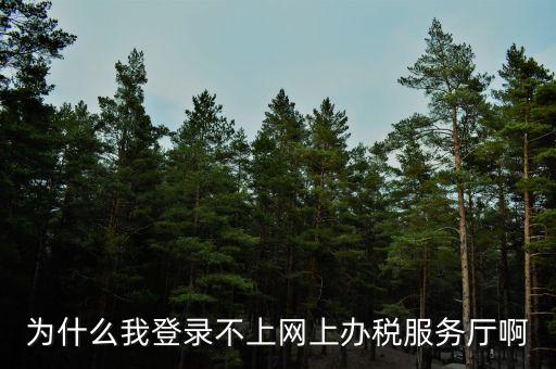 為什么我登錄不上網(wǎng)上辦稅服務(wù)廳啊