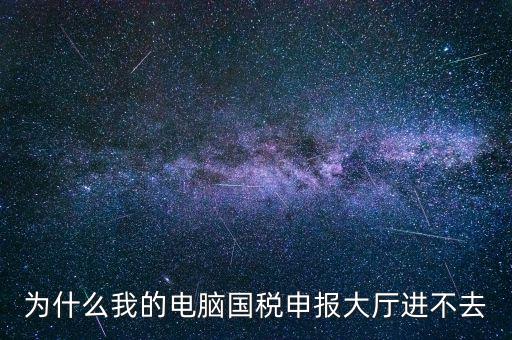 為什么我的電腦國(guó)稅申報(bào)大廳進(jìn)不去