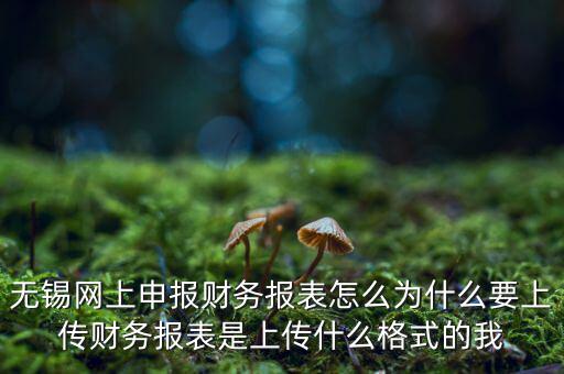 為什么要上傳報表，無錫網(wǎng)上申報財務(wù)報表怎么為什么要上傳財務(wù)報表是上傳什么格式