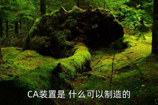 ca控件是什么，CA裝置是 什么可以制造的