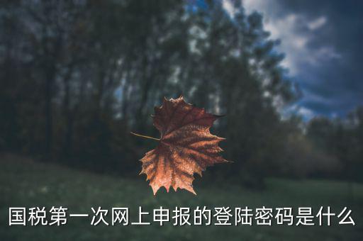 國稅第一次網(wǎng)上申報(bào)的登陸密碼是什么