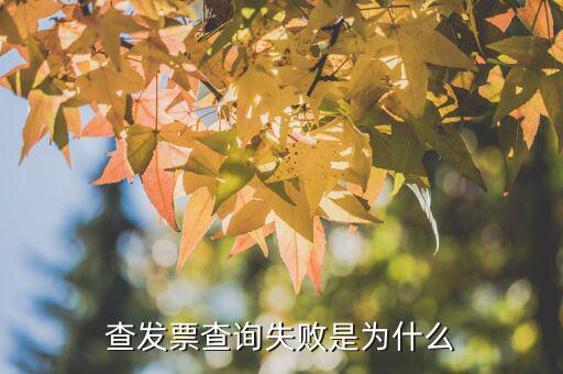 查發(fā)票查詢失敗是為什么