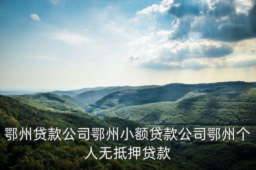 鄂州貸款公司鄂州小額貸款公司鄂州個(gè)人無(wú)抵押貸款