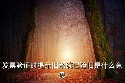 發(fā)票的驗舊時間是什么意思，發(fā)票驗證時提示舊系統(tǒng)已驗舊是什么意思