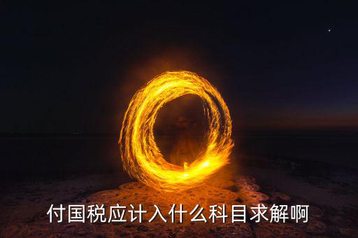 付國稅應(yīng)計(jì)入什么科目求解啊