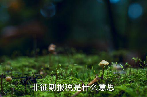 個稅申報不在征期什么意思，征期報稅和非征期報稅是什么意思