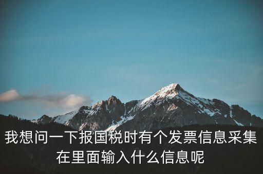 我想問(wèn)一下報(bào)國(guó)稅時(shí)有個(gè)發(fā)票信息采集在里面輸入什么信息呢