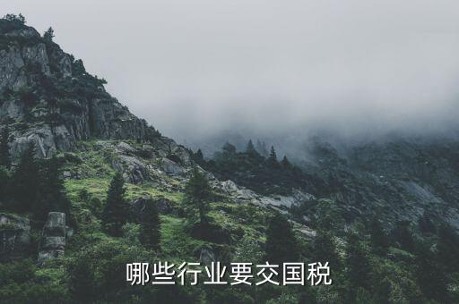 什么企業(yè)要交國稅，哪些行業(yè)交國稅哪些行業(yè)都交