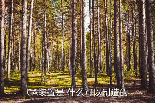 CA裝置是 什么可以制造的