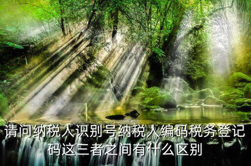 請問納稅人識(shí)別號(hào)納稅人編碼稅務(wù)登記碼這三者之間有什么區(qū)別