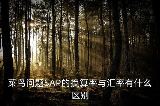 菜鳥(niǎo)問(wèn)題SAP的換算率與匯率有什么區(qū)別