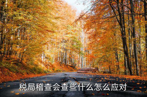 發(fā)票稽查查什么，稅局稽查會(huì)查些什么怎么應(yīng)對(duì)
