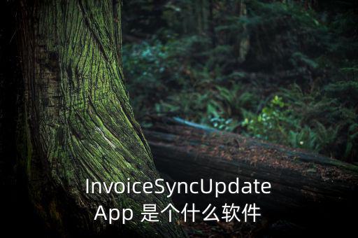 InvoiceSyncUpdateApp 是個(gè)什么軟件