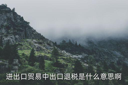 什么是增值稅出口退稅，出口退稅指的是什么