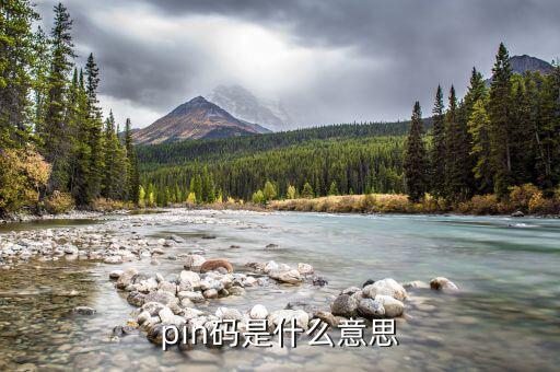 pin碼是什么意思