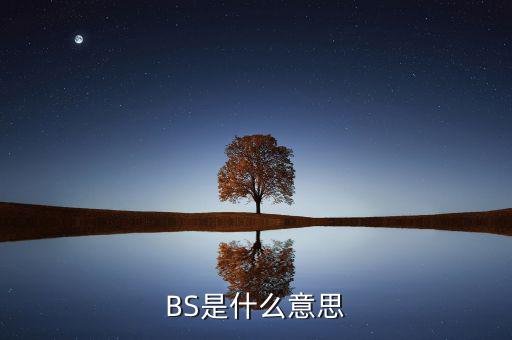 BS是什么意思