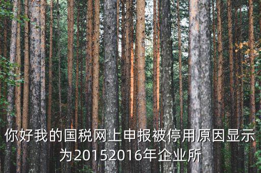 你好我的國稅網上申報被停用原因顯示為20152016年企業(yè)所