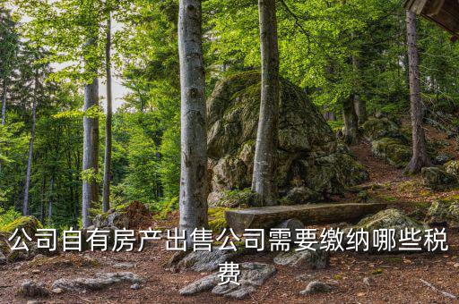 公司自有房產(chǎn)出售公司需要繳納哪些稅費