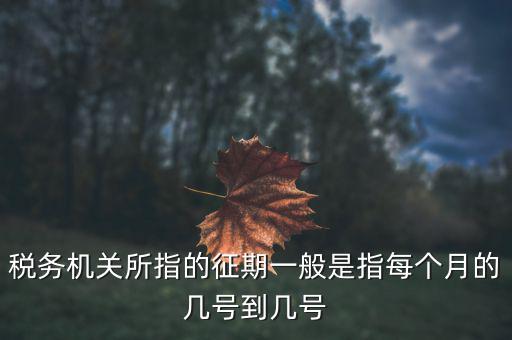 什么時候可以建立征期，北京國稅網(wǎng)上申報系統(tǒng)是不是只能在每個月初才可以新建征期呢我