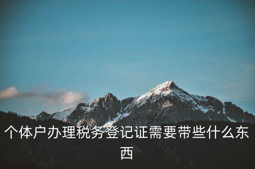 個(gè)體稅務(wù)登記證需要什么材料，個(gè)體戶(hù)辦理稅務(wù)登記證需要帶些什么東西