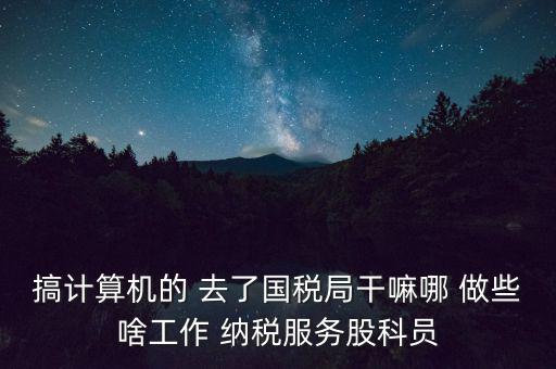 搞計算機(jī)的 去了國稅局干嘛哪 做些啥工作 納稅服務(wù)股科員