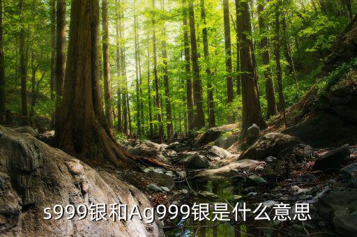 s999銀和Ag999銀是什么意思