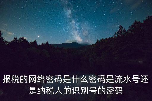 報(bào)稅的網(wǎng)絡(luò)密碼是什么密碼是流水號(hào)還是納稅人的識(shí)別號(hào)的密碼