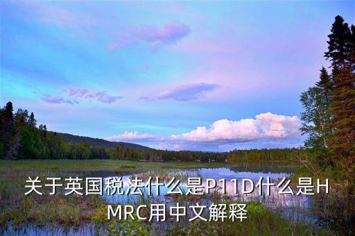 關于英國稅法什么是P11D什么是HMRC用中文解釋