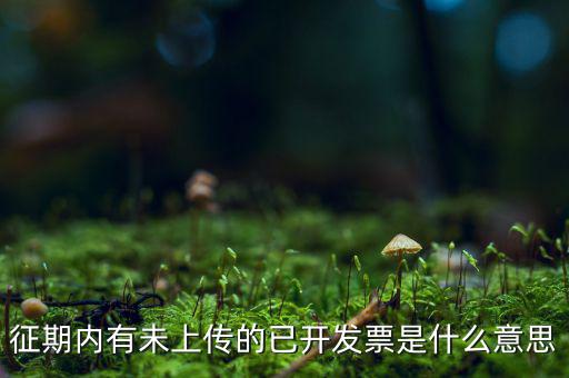 征期內(nèi)有未上傳的已開發(fā)票是什么意思