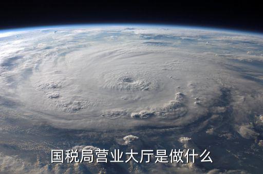 辦稅服務廳都做些什么，辦稅服務廳的基本服務包括哪些