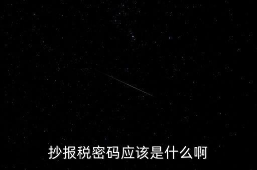 抄報稅密碼應(yīng)該是什么啊