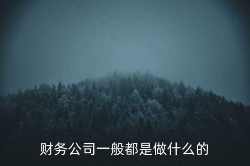 財務(wù)公司一般都是做什么的