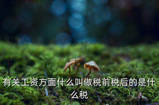 有關(guān)工資方面什么叫做稅前稅后的是什么稅