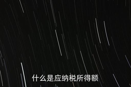 什么是年應(yīng)納稅所得額，什么是應(yīng)納稅所得額