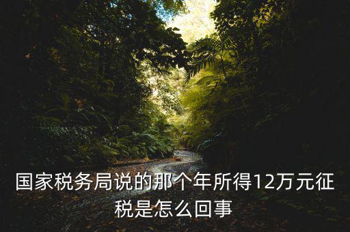 國(guó)家稅務(wù)局說的那個(gè)年所得12萬元征稅是怎么回事