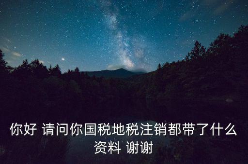 注銷稅盤都帶什么資料，稅務注銷都需要什么資料啊