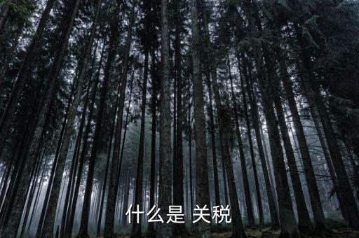 什么是國境關(guān)稅，關(guān)稅是什么