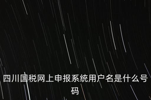 四川省地方稅務(wù)局登錄賬號是什么，在網(wǎng)上報稅登陸時用戶名是什么