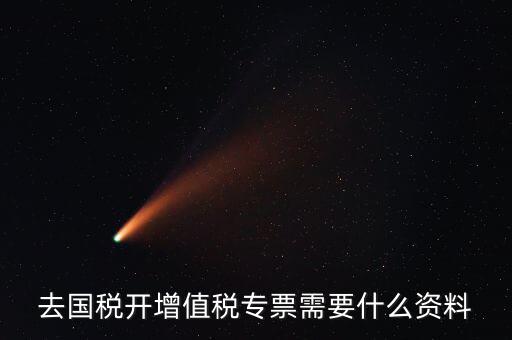 去國稅開增值稅專票需要什么資料