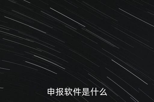 增值稅申報用什么軟件，申報軟件是什么