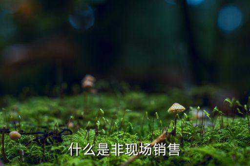 什么是非現(xiàn)場(chǎng)銷(xiāo)售