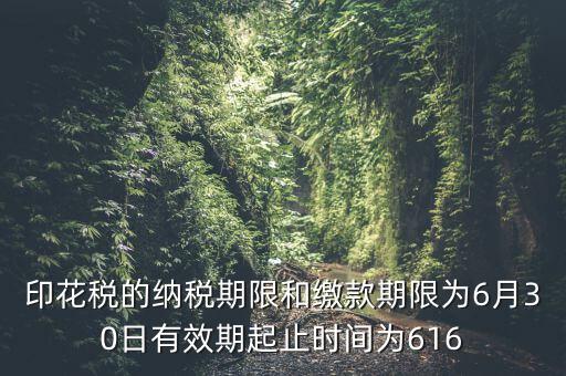 繳款期限什么意思，滯納金是什么意思