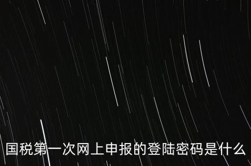 國稅的登錄密碼是什么，國稅第一次網(wǎng)上申報(bào)的登陸密碼是什么