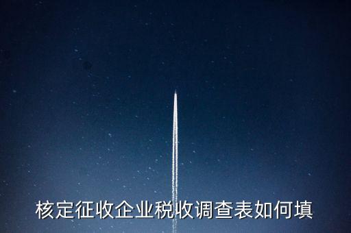 什么企業(yè)填稅收調(diào)查表，核定征收企業(yè)稅收調(diào)查表如何填