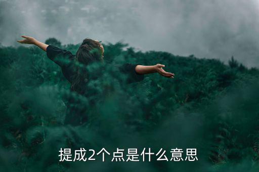 提成2個(gè)點(diǎn)是什么意思