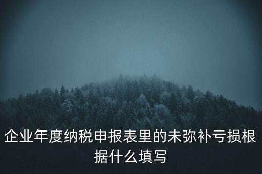 企業(yè)年度納稅申報表里的未彌補(bǔ)虧損根據(jù)什么填寫